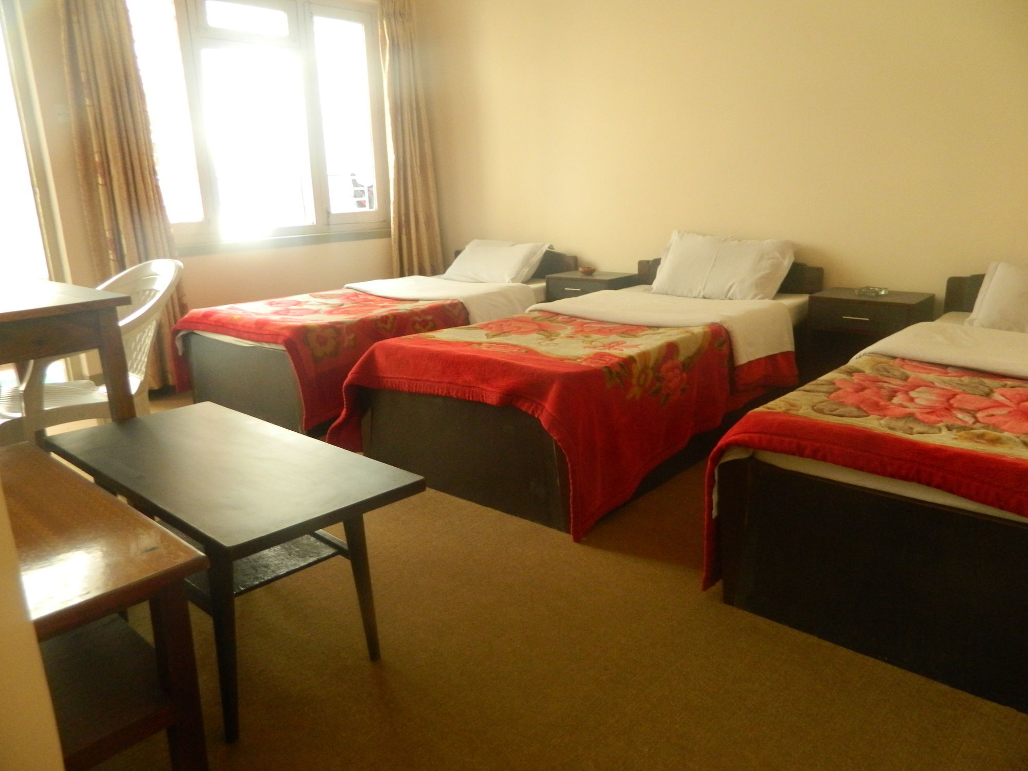 Om Tara Guest House Pvt Ltd Katmandu Dış mekan fotoğraf